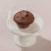 Double Chocolate Chip Muffin